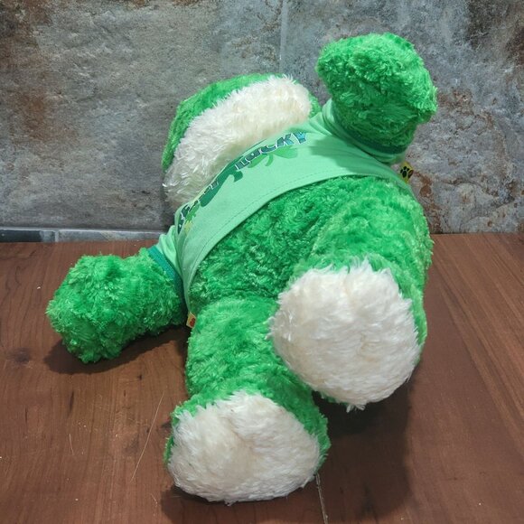 Build A Bear Workshop Green Frog Plush Beary Lucky Outfit Stuffed Animal - Picture 5 of 12